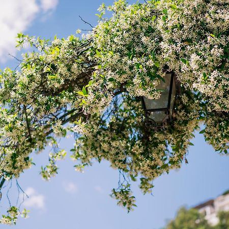 Villa Sant'Alfonso Scala Dış mekan fotoğraf